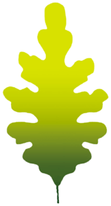 feuille
